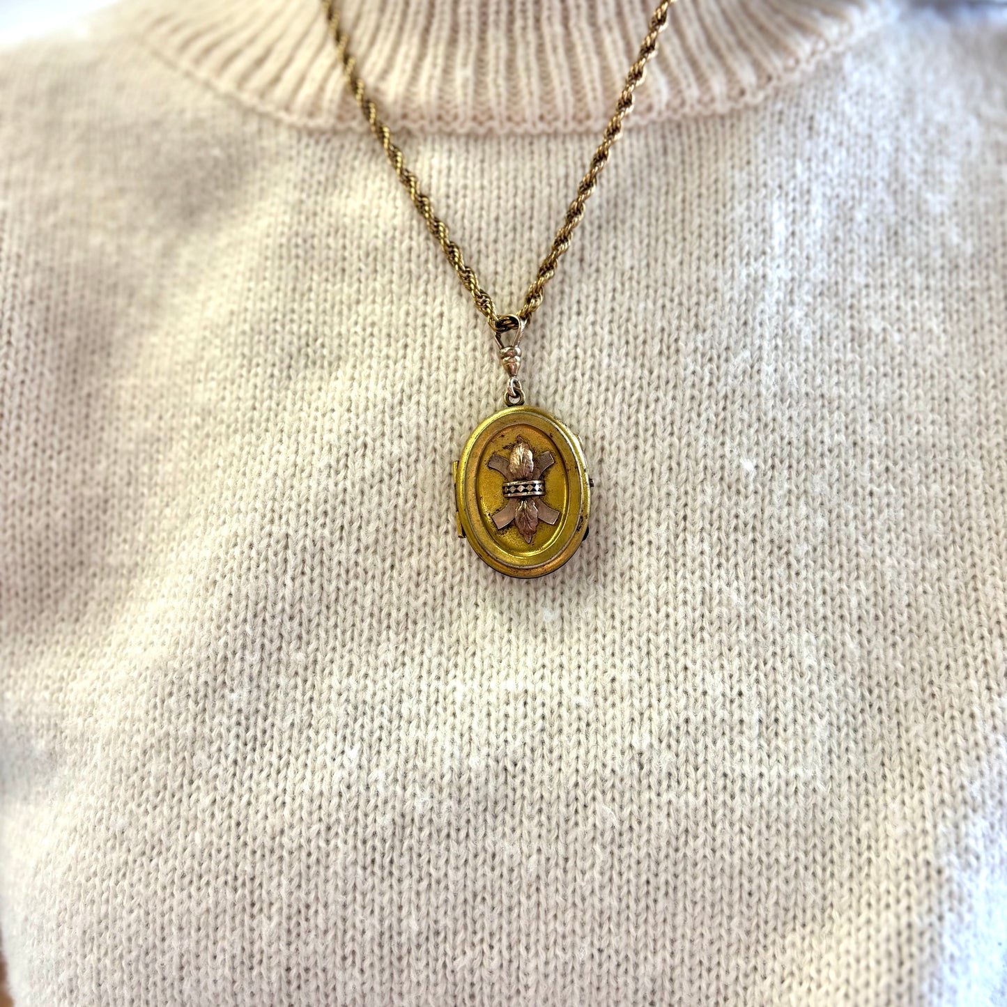 Gold Filled Locket and Chain