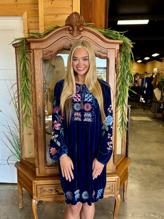 Nikkola Velvet Yoke Dress